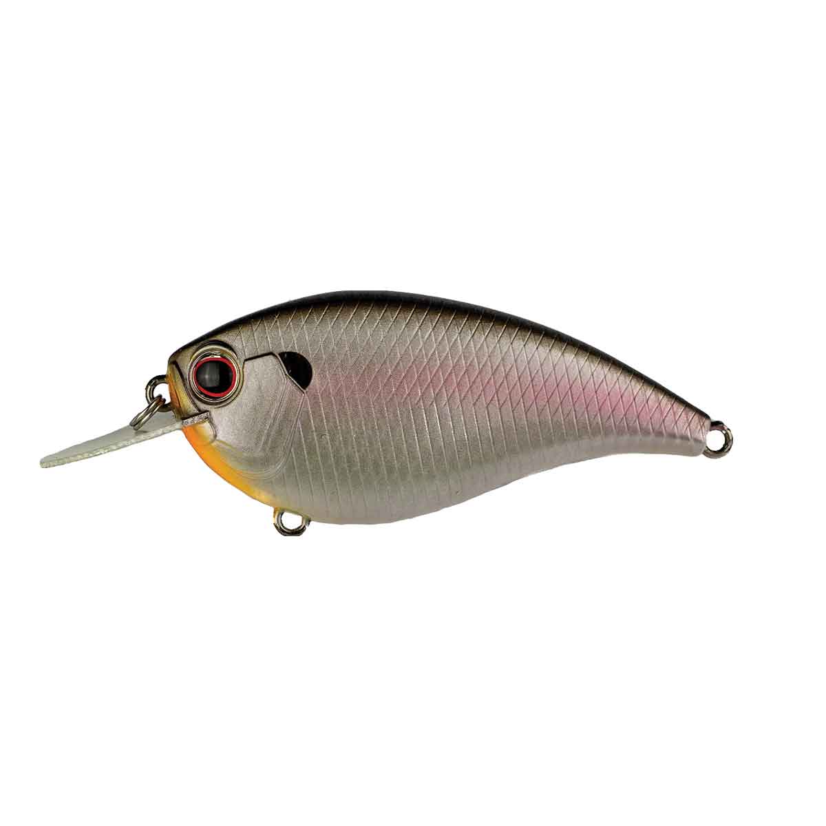 FF-4_Cold Shad