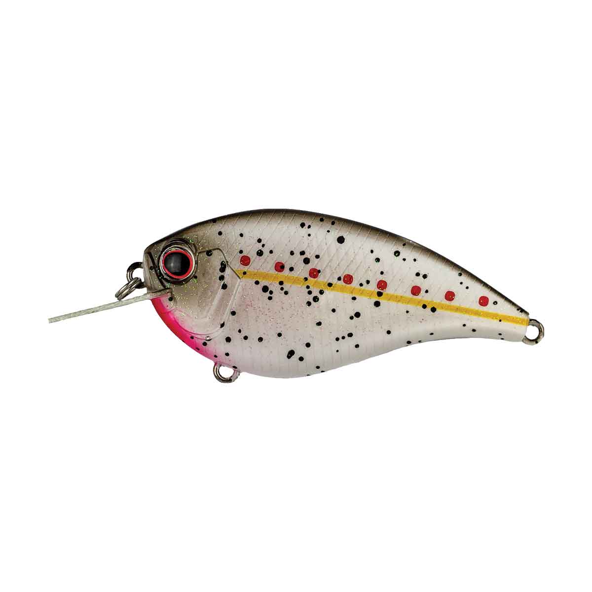 FF-4_King Shad