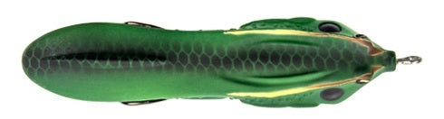 Froglet_Blue Gill*