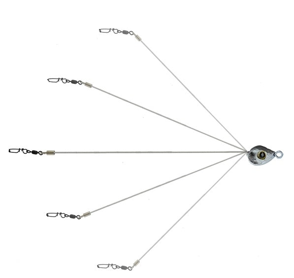 Picasso School E Rig Finesse_Shad