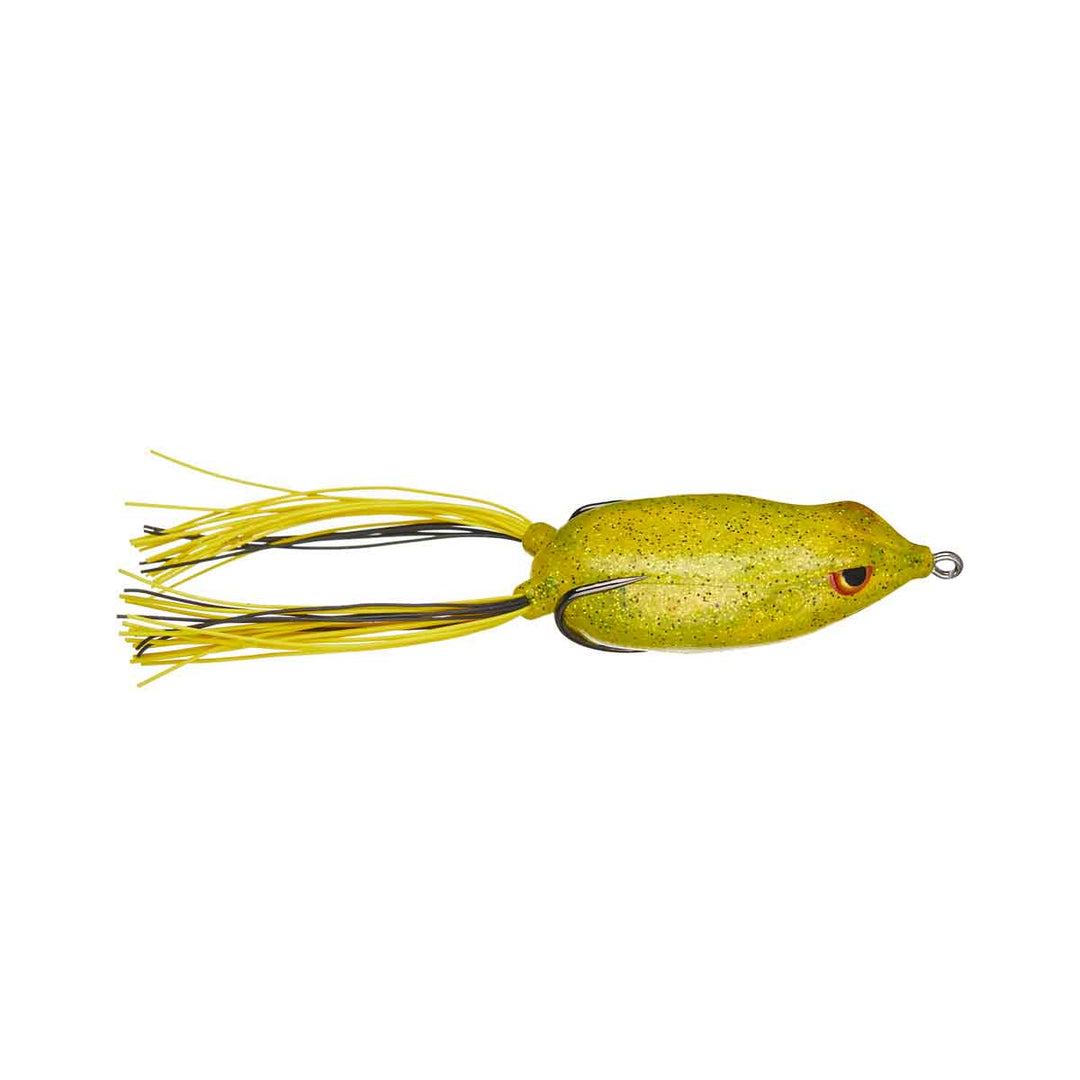 Bronzeye Frog_Yellow Sparkle