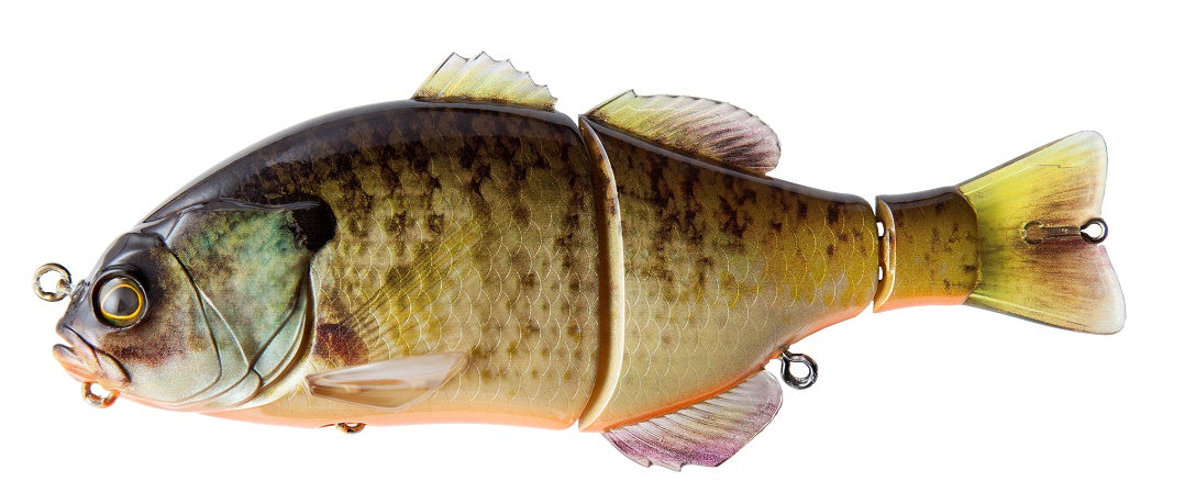 Gantarel_RT Bluegill