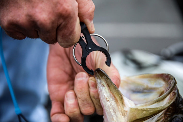 T-H Marine G-Force Conservation Cull System Gen 2