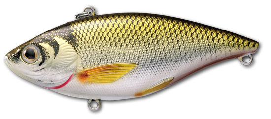 Golden Shiner Rattlebait_Gold/Black