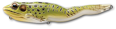 Frog Walking Bait_Green/Yellow*
