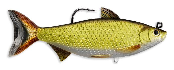 Swimbait Golden Shiner_Gold/Black