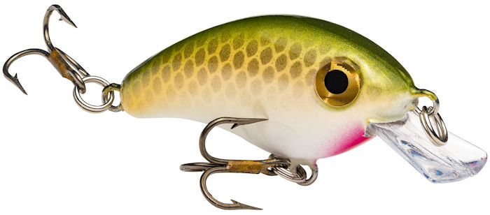 Bitsy Minnow Crankbait_Tennessee Shad