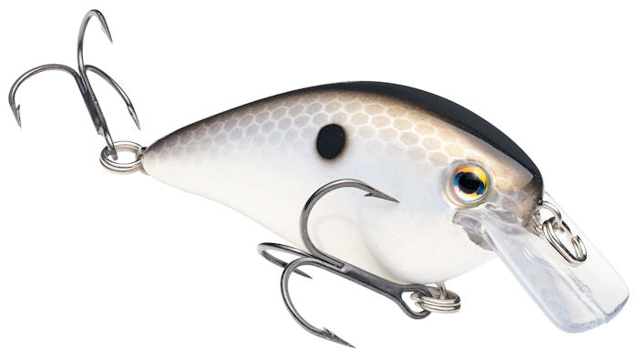 KVD Square Bill_Gizzard Shad