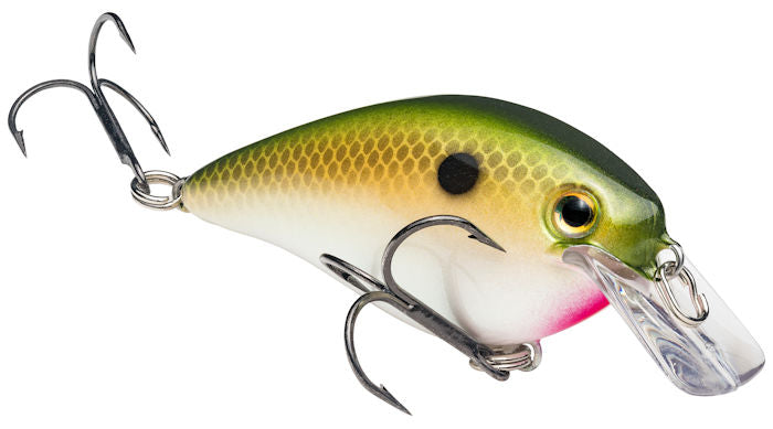 KVD Square Bill_Tennessee Shad
