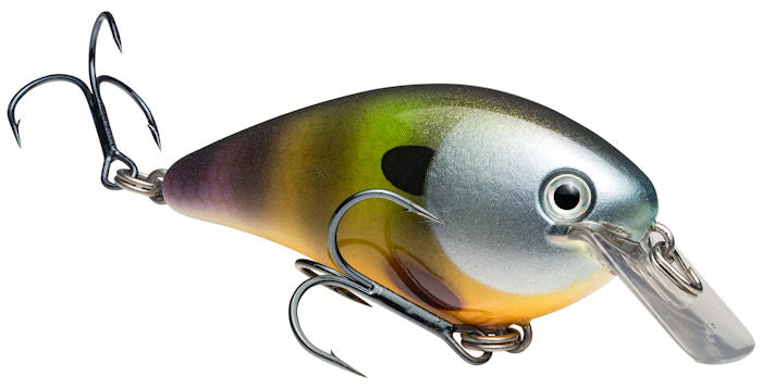 KVD Square Bill_Neon Bluegill