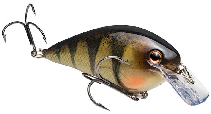 KVD Square Bill_Yellow Perch