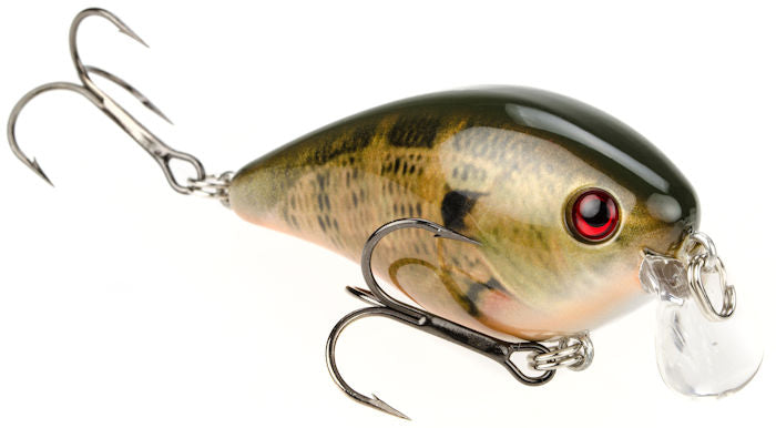 KVD 1.5 Shallow_Natural Bream