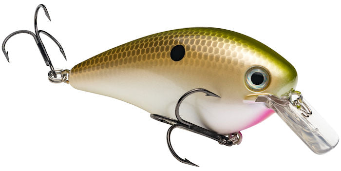 KVD Magnum Square Bill_Tennessee Shad