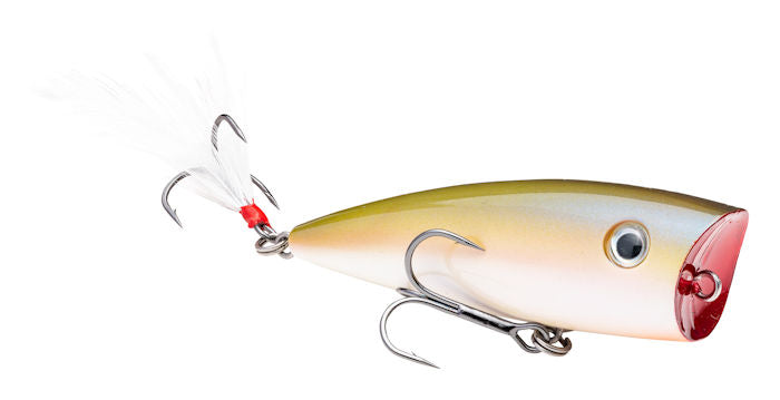 KVD Splash Popper_The Shizzle*