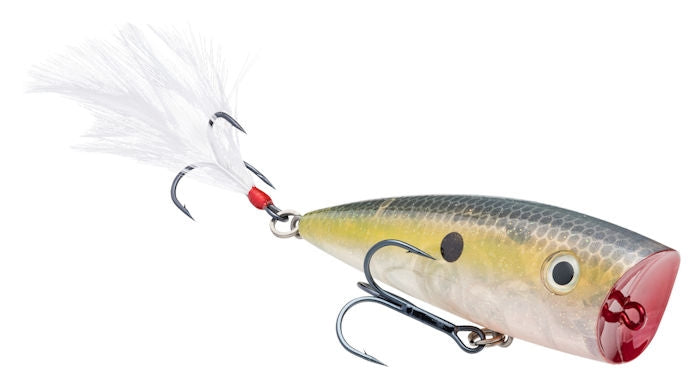 Strike King KVD Splash Popper