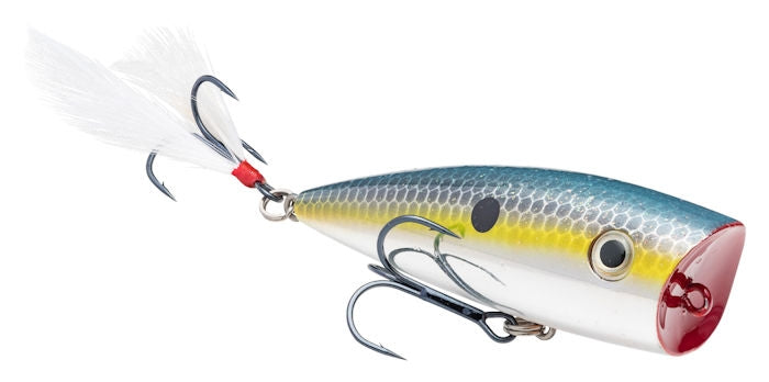 KVD Splash Popper_Chrome Sexy Shad