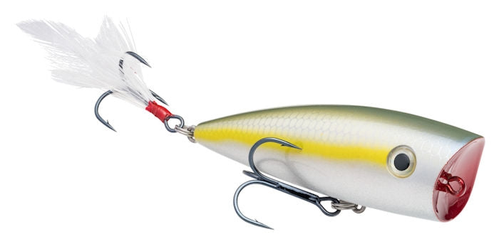 KVD Splash Popper_Sexy Blue Back Herring*
