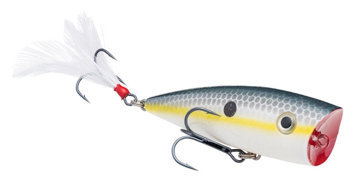 KVD Splash Popper_Sexy Shad