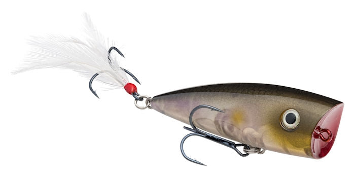 KVD Splash Popper_Clearwater Minnow