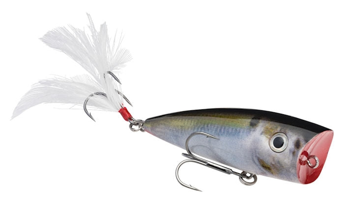 KVD Splash Popper_Natural Shad