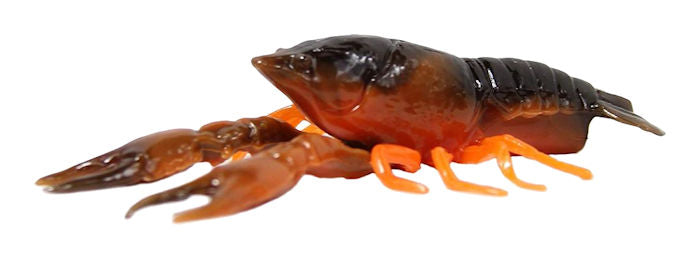 Tackle HD Hi-Def Craw*