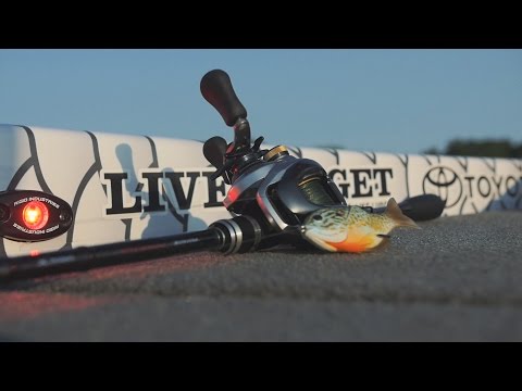 LiveTarget Hollow Body Sunfish