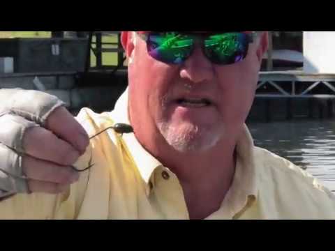 Strike King KVD Perfect Plastic 10" Bull Worm