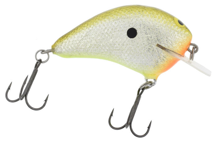 Huntin P Squarebill_Money*