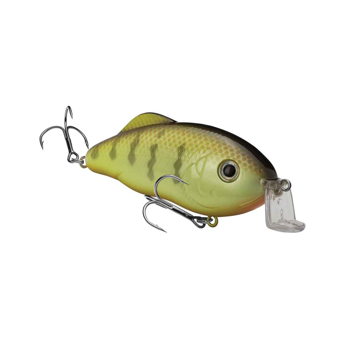 Hybrid Hunter_Chartreuse Perch