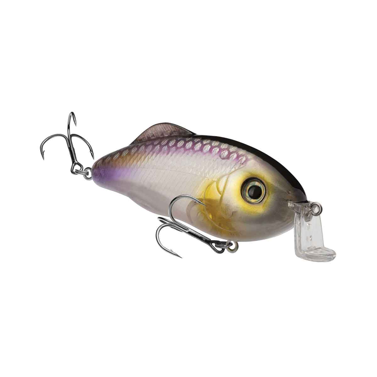 Hybrid Hunter_Clearwater Minnow