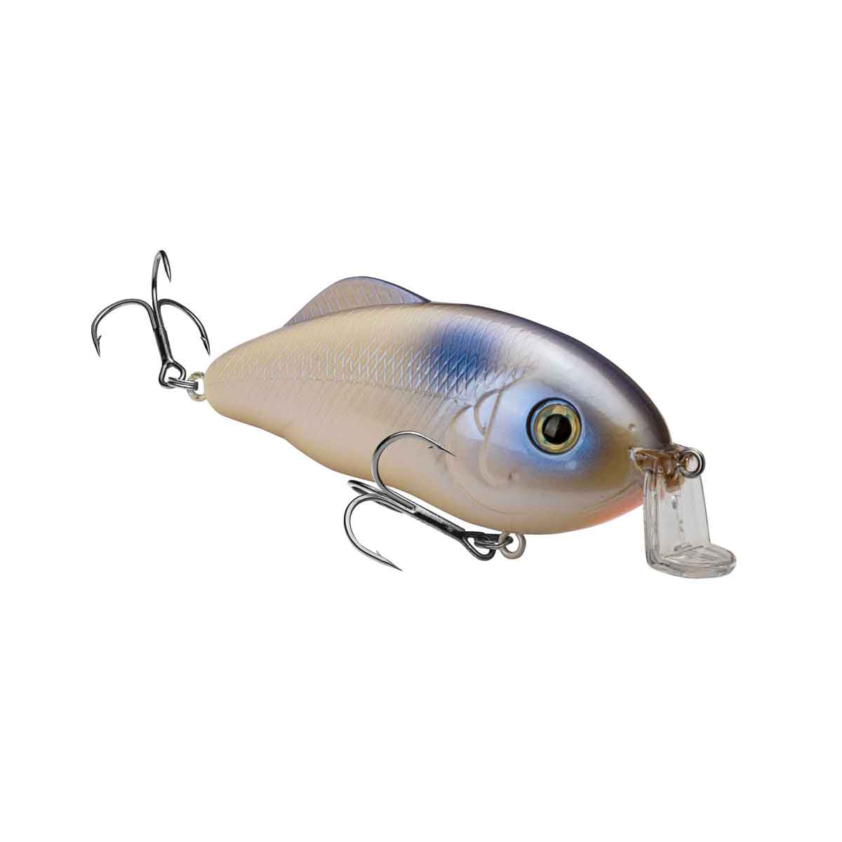 Hybrid Hunter_Oyster