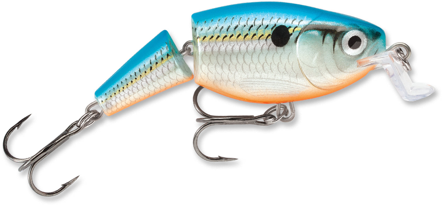 Jointed Shallow Shad Rap_Blue Shad