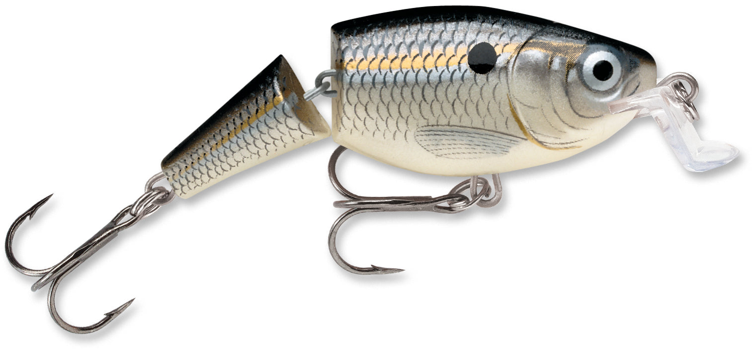 Jointed Shallow Shad Rap_Silver Shad