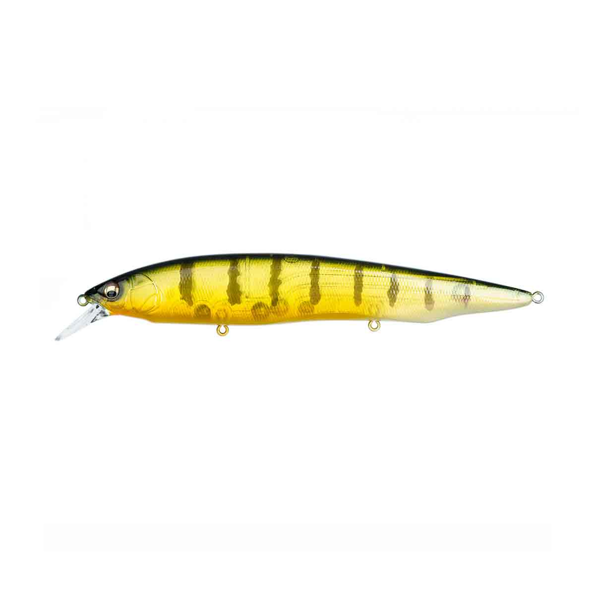 Kanata_GP Pro Perch