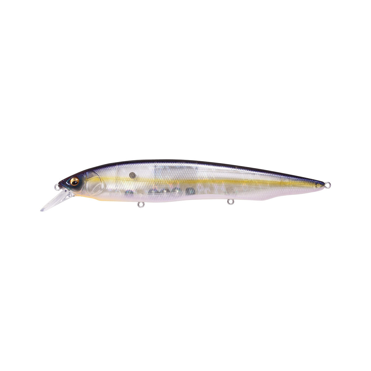 Kanata_GP Megabass Sexy Shad