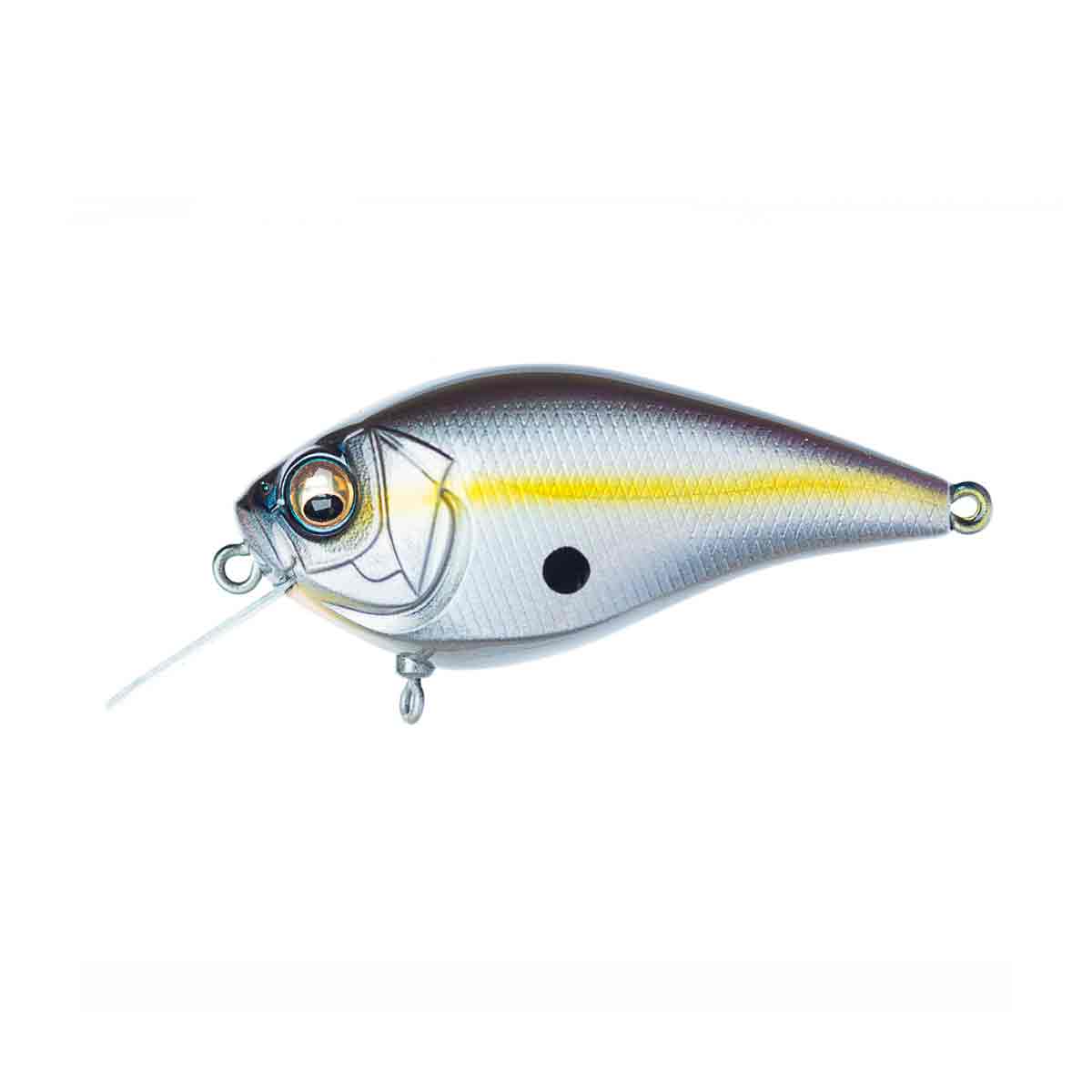 Knuckle LD_Megabass Sexy Shad