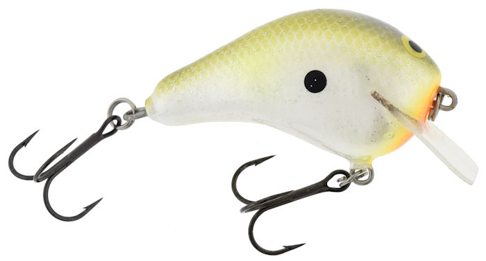 Lil Hunter Squarebill_Magic