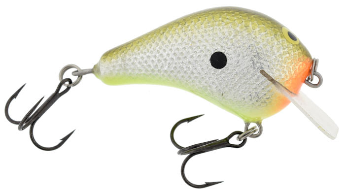 Lil Hunter Squarebill_Money