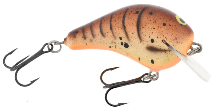 Lil Hunter Squarebill_Rebel Craw