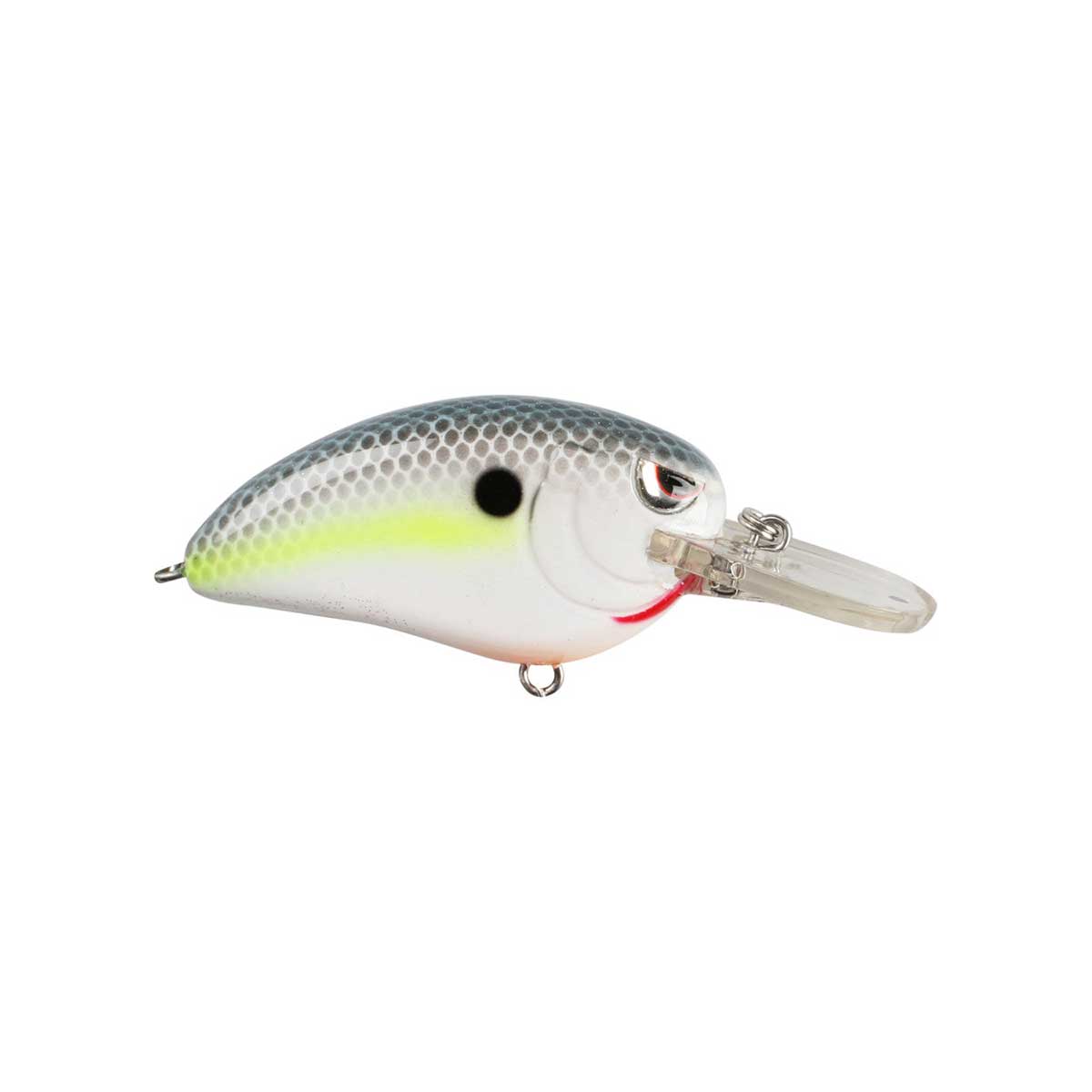 Little John_Matte Shad