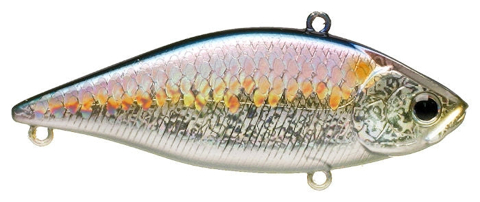 LV Max Lipless Crankbait_MS American Shad