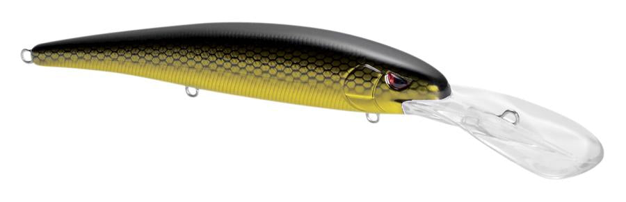 Madeye Minnow_Black Back Gold