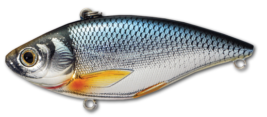 Koppers LiveTarget Golden Shiner Rattlebait