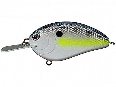 Little John XL 70_Nasty Shad*