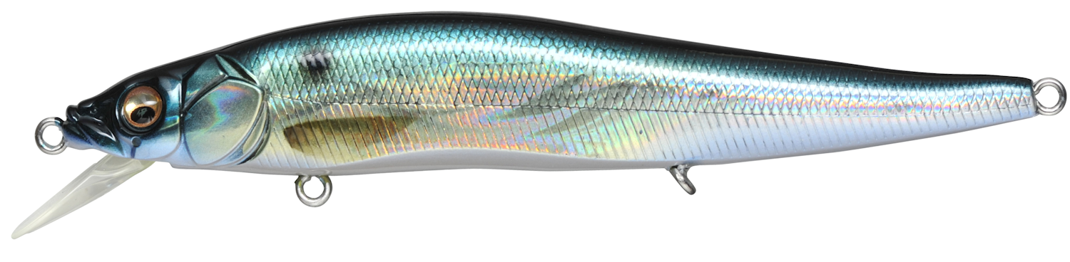 Vision 110 FX Tour Premium_FX GG Threadfin Shad