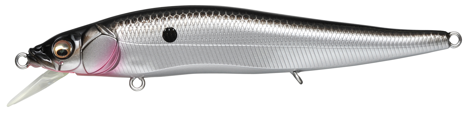 Vision 110 FX Tour Premium_FX Ozark Shad