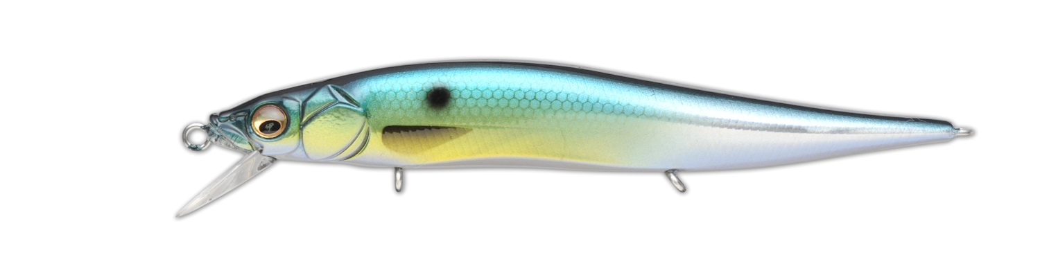 Vision 110 Jr_GG Threadfin Shad