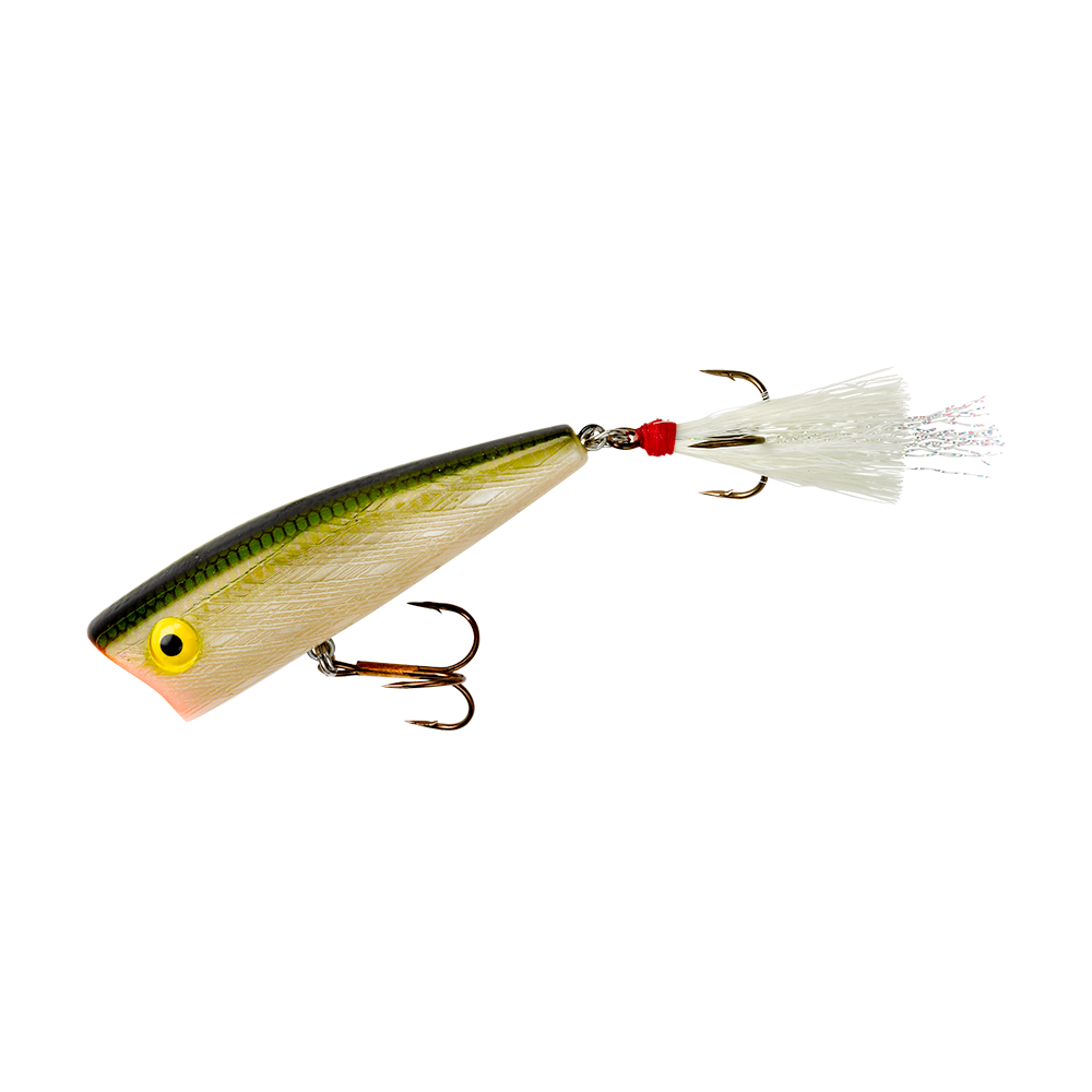 Magnum Pop R_Tennessee Shad