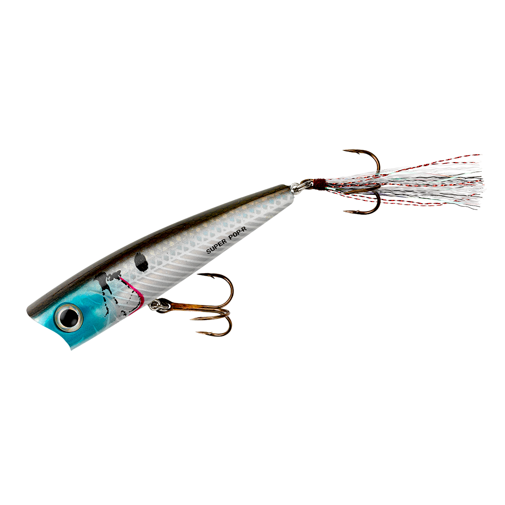 Super Pop R_Silver Shiner