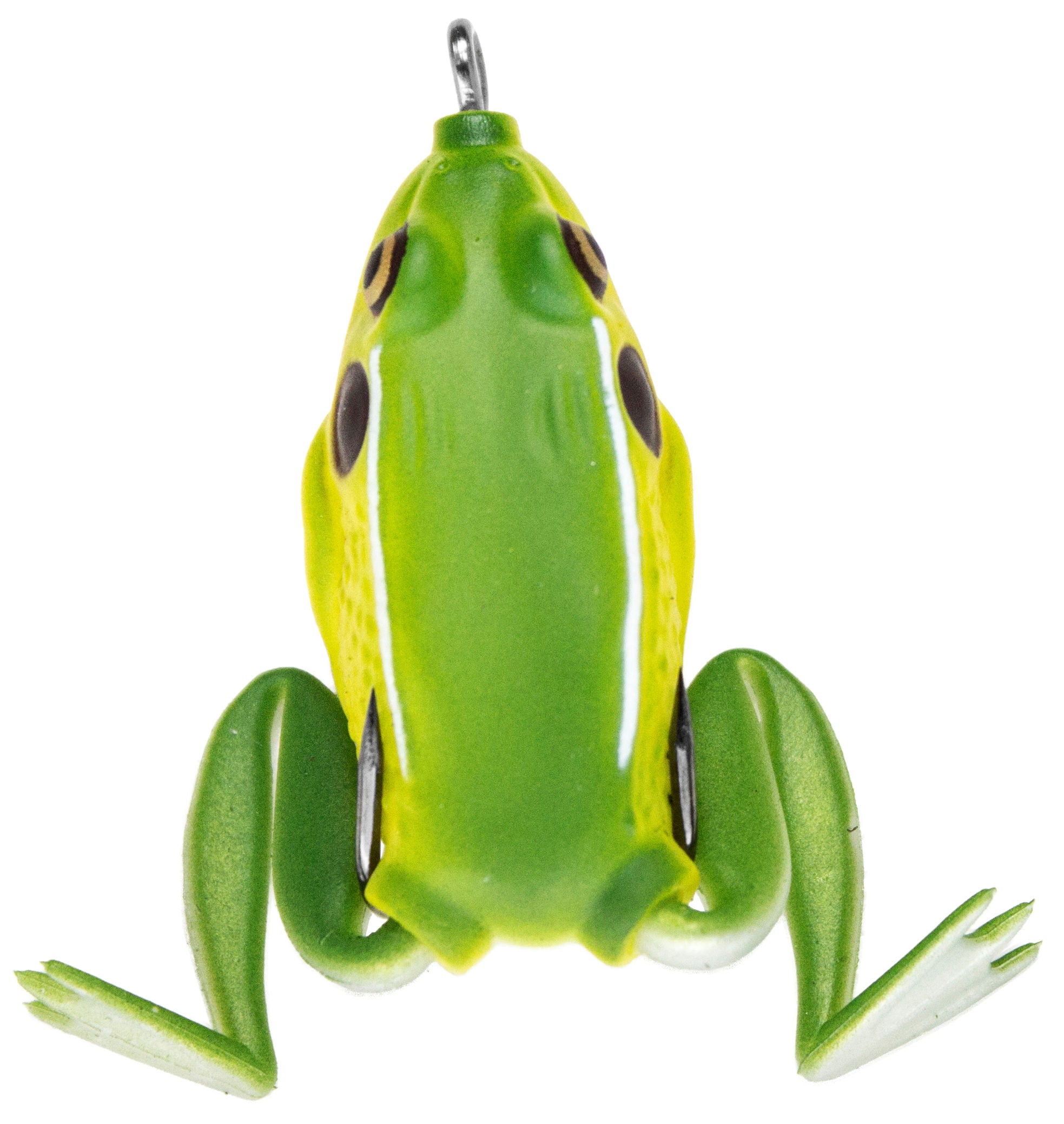Pocket Frog_Bull Frog